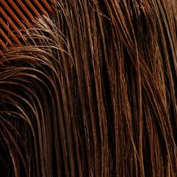 Black Friday W| Haircuts